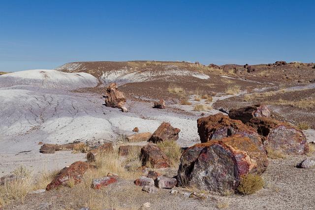 67 petrified forest.jpg